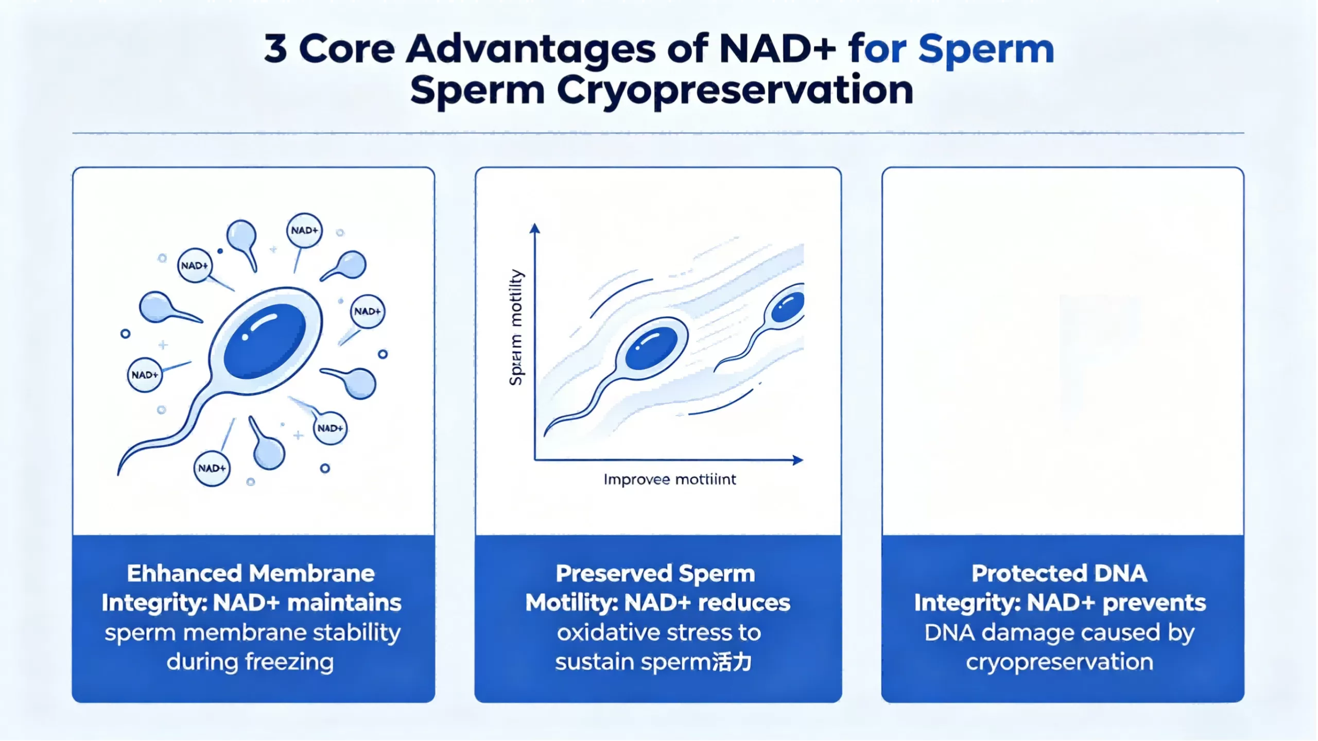 NAD+ Protects Sperm Quality During Cryopreservation: Boost Motility & DNA Integrity