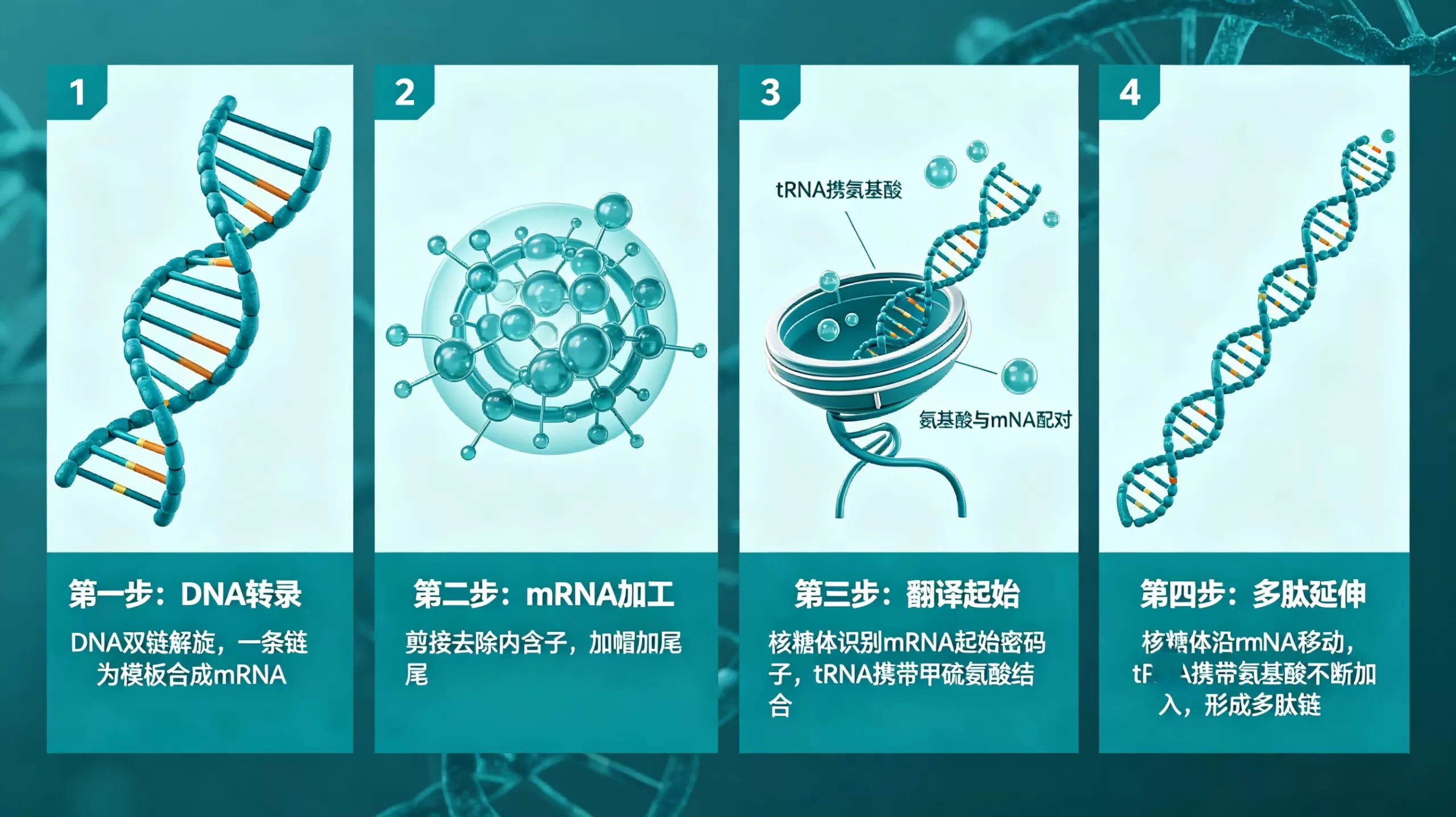 Peptide Beginner’s Guide